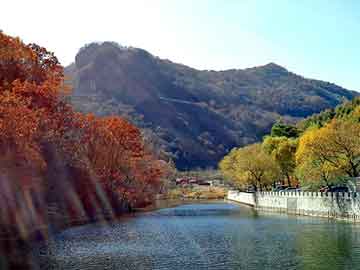 新澳天天开奖资料大全旅游团，食神软件